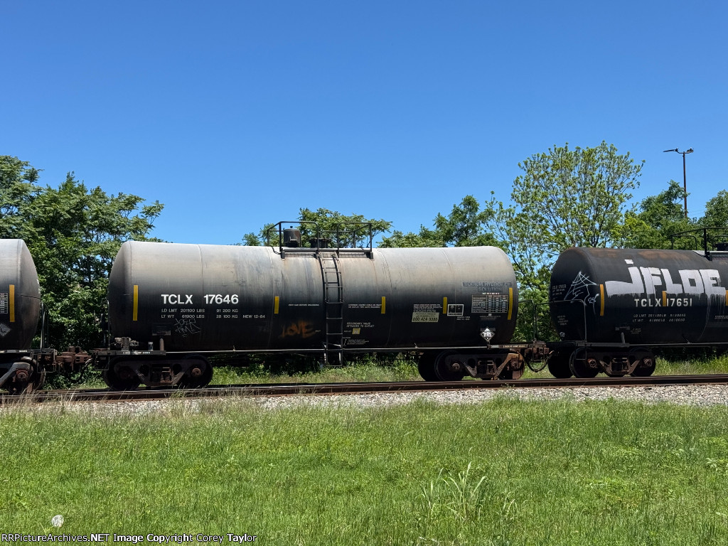 TCLX 17646